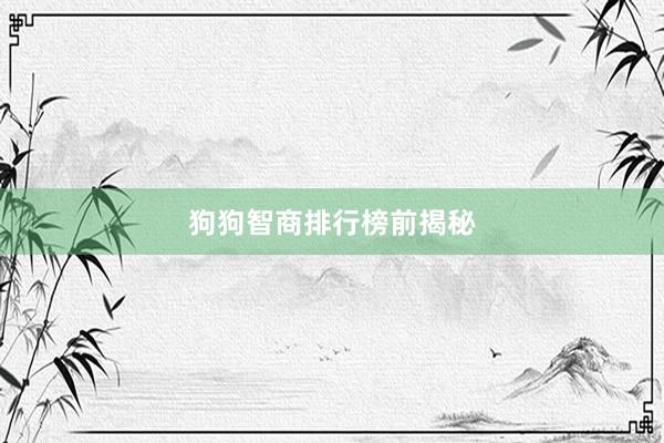 狗狗智商排行榜前揭秘